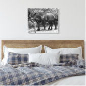 Trekpaardenrusting Canvas Afdruk (Insitu (Slaapkamer))