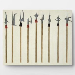 Trekstenen, speermessen, halberds en tussenschotte fotoplaat