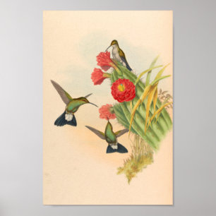  trekvogels Kunst vogeldruppelcactus Poster