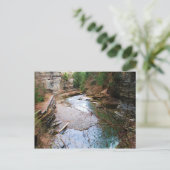 TREMAN STATE PARK, ITHACA, N.Y. carte postale (Debout devant)