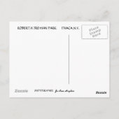 TREMAN STATE PARK, ITHACA, N.Y. carte postale (Dos)