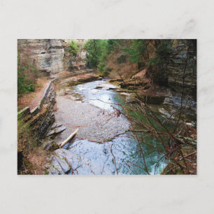 TREMAN STATE PARK, ITHACA, N.Y. carte postale