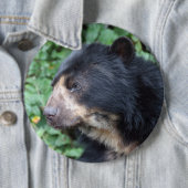 Tremarctos ornatus ronde button 6,0 cm (In situ)