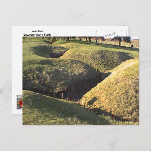 Trenches Newfoundland Park Briefkaart (Voorkant / Achterkant)