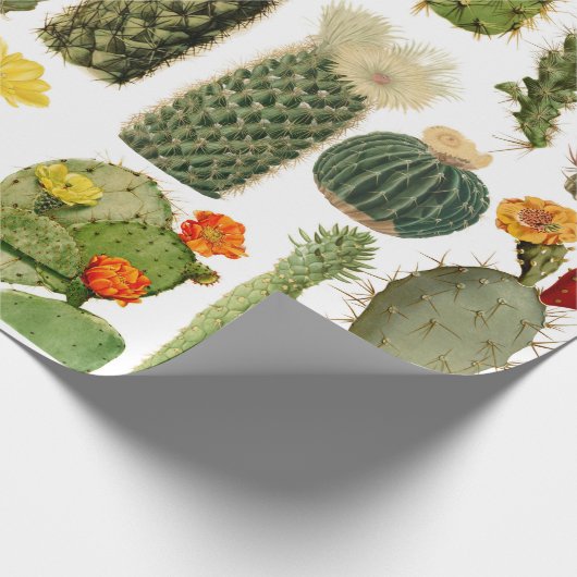 Trendy  Cactus Pattern Cadeaupapier (Hoek)