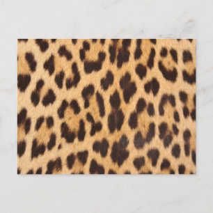 trendy girly chic wild safari leopard print briefkaart