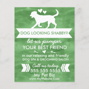 Trendy groene flyer voor hondenverzorging - Person