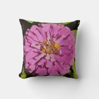 Trendy kussen met paarse Zinnia