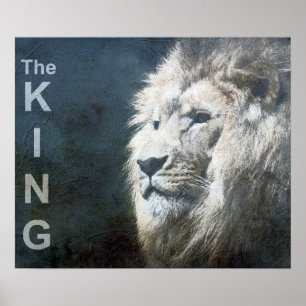 Trendy Lion Sjabloon Natuur Dierenfoto Koning Poster