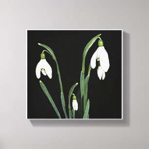 Trendy moderne minimalistische sneeuwklokbloem fin canvas afdruk