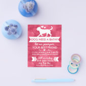 Trendy Rode Hond Verzorgingsfolder - Aanpasbaar Flyer (Enkel)