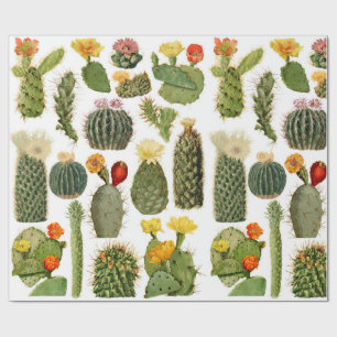 Trendy Vintage Cactus Patroon Cadeaupapier