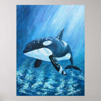 Trent Orca Moordwalvis Print Alle maten