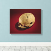 Trepaned Skull Canvas Afdruk (Insitu (Houten vloer))