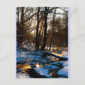 Treppenbach Briefkaart (Voorkant)