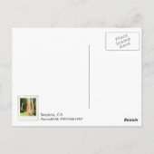 Très Belle Carte Postale Sequoia ! (Dos)