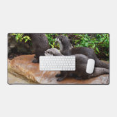 Très Belles Petites Loutres Grises, (Clavier et souris)