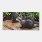 Très Belles Petites Loutres Grises, (Recto)