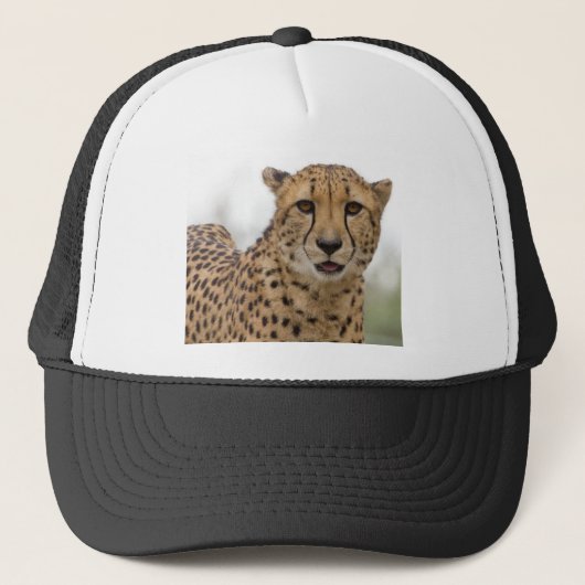 Très mignon Casquette de la faune (Devant)