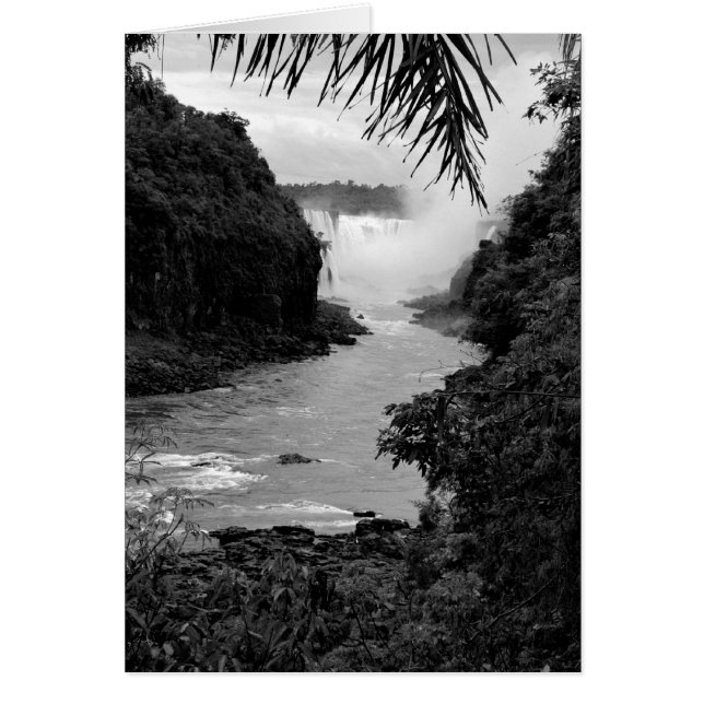 Trésor dans la jungle (Devant)