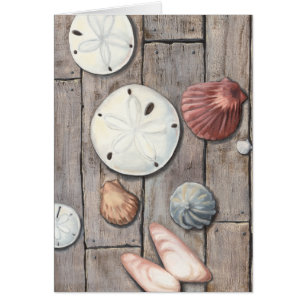 Trésors de bord de la mer