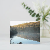 Trestle Pine Morning Briefkaart (Staand voorkant)