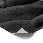 TRESTLS, SAN ONOFRE STATE BEACH, CA, VS POSTER (Hoek)