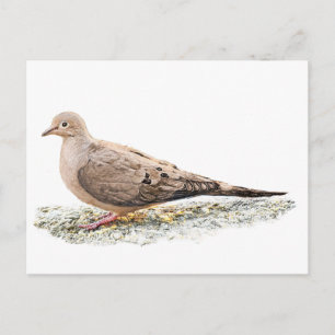 Treurdove Briefkaart