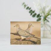 Treurduif Briefkaart (Staand voorkant)