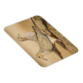 Treurduif Magneet (Rechterzijde)