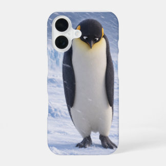 Treurige Pinguïn Schattige Winter Vogel Hoesje iPhone 16 Hoesje