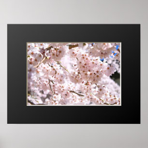 Treurkersboom ("Nara Ichiban-Zakura") Poster