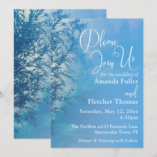 Treurwilg Ethische Dromerige Lucht Huwelijk 2 Kaart (Voorkant / Achterkant)