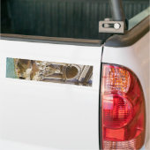 trevi fontein bumpersticker (Op Truck)