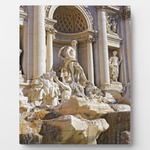 trevi fontein fotoplaat