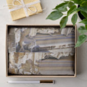 Trevi fontein tissuepapier (Geschenk)