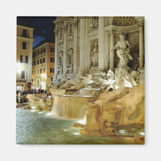 Trevi Fountain Magneet