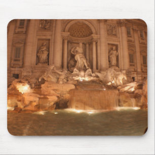 Trevi Fountain Muismat