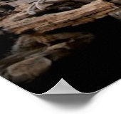 Trevi Fountain Rome Italy Travel Poster (Hoek)