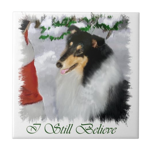 Tri Collie Kerstmis Tegeltje (Voorkant)