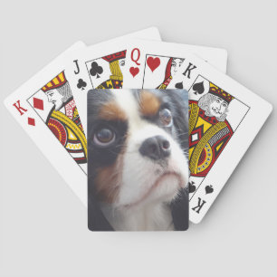 Tri-Color Cavalier King Charles die kaarten speelt