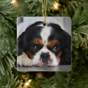 Tri Color Cavalier King Charles Dog Keramisch Ornament