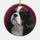 Tri-Color Cavalier King Charles Ornament (Voorkant)