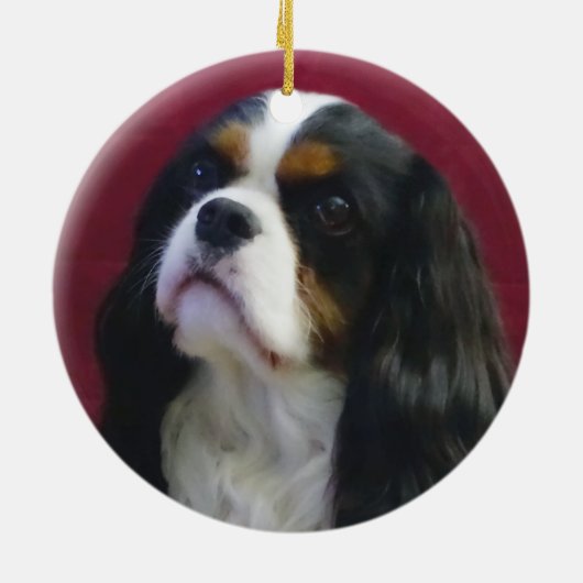 Tri-Color Cavalier King Charles Ornament (Achterkant)