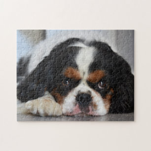 Tri Color Cavalier King Charles Spaniel Puppy Dog Legpuzzel