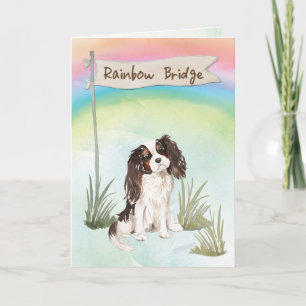 Tri Color King Charles Spaniel Pet Kaart