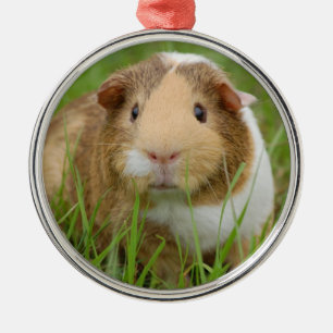 Tri Color Pet Guinee Pig Metalen Ornament