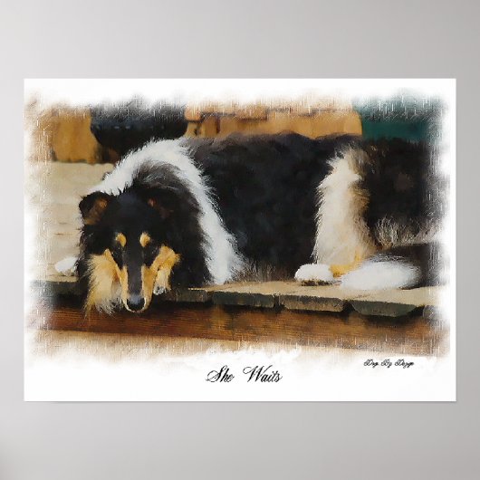 Tri Color Rough Collie Gifts Art Poster (Voorkant)