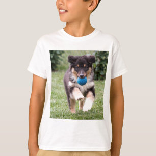 Tri Colored Australian Shepherd Pup T-shirt