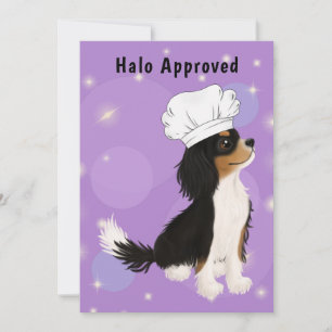 Tri Colored Cavalier in Chef's Pet Bedankkaart
